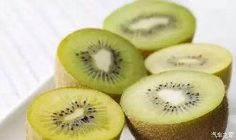 猕猴桃爆料新闻视频,揭秘猕猴桃产业最新动态与热点事件 第2张 猕猴桃爆料新闻视频,揭秘猕猴桃产业最新动态与热点事件 第2张